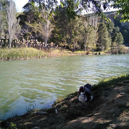 Вилла Adosado, Cerca De Valencia En Zona De Montana Y Playa Fluvial Экстерьер фото